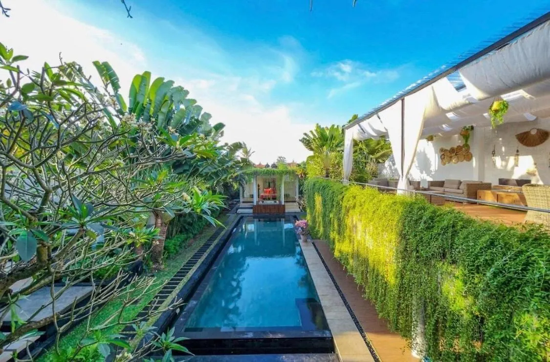 Viva Lavida 4 Bedroom Green Huge Vila Cyn Canggu  Indonesia